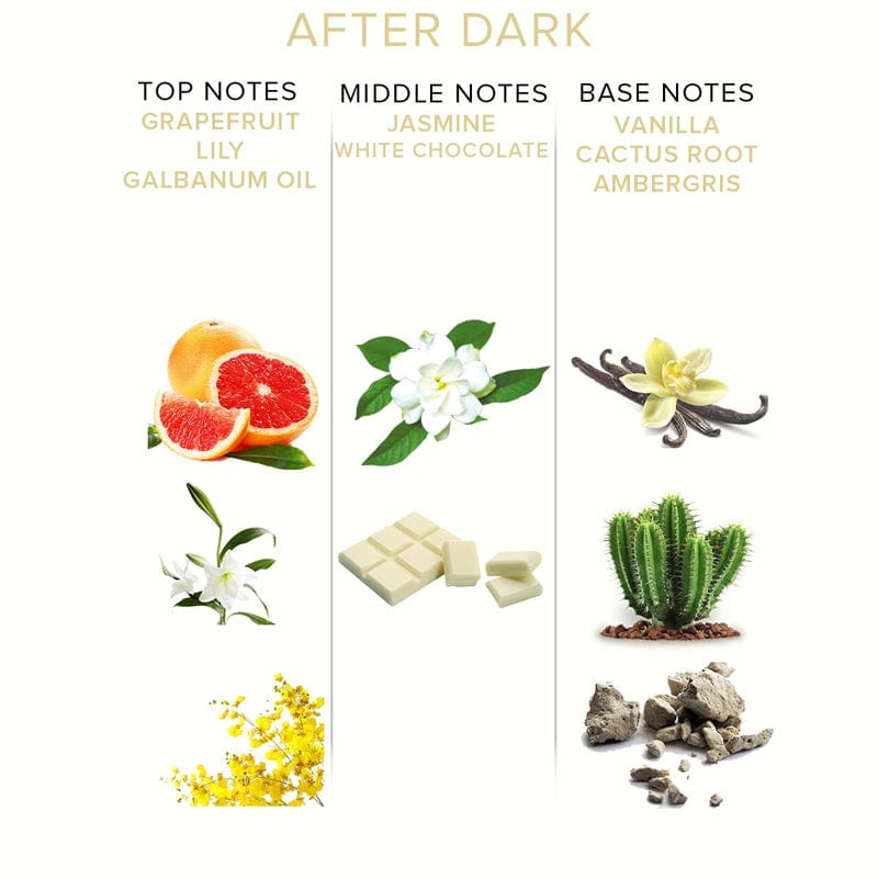 After Dark Pheromone Parfüm für Sie-Mr. Lover - Sensual Toys