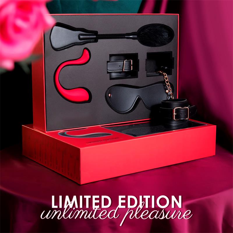 Diverses - BDSM Box Limited Edition - Geschenkbox