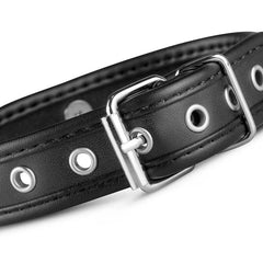 Connell Veganes Halsband mit O-Ring-Mr. Lover - Sensual Toys