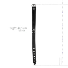 Connell Veganes Halsband mit O-Ring-Mr. Lover - Sensual Toys